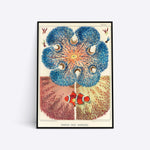 Barrier Reef Anemones plakat i ramme