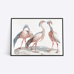 Three Birds plakat i ramme