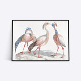 Three Birds plakat i ramme