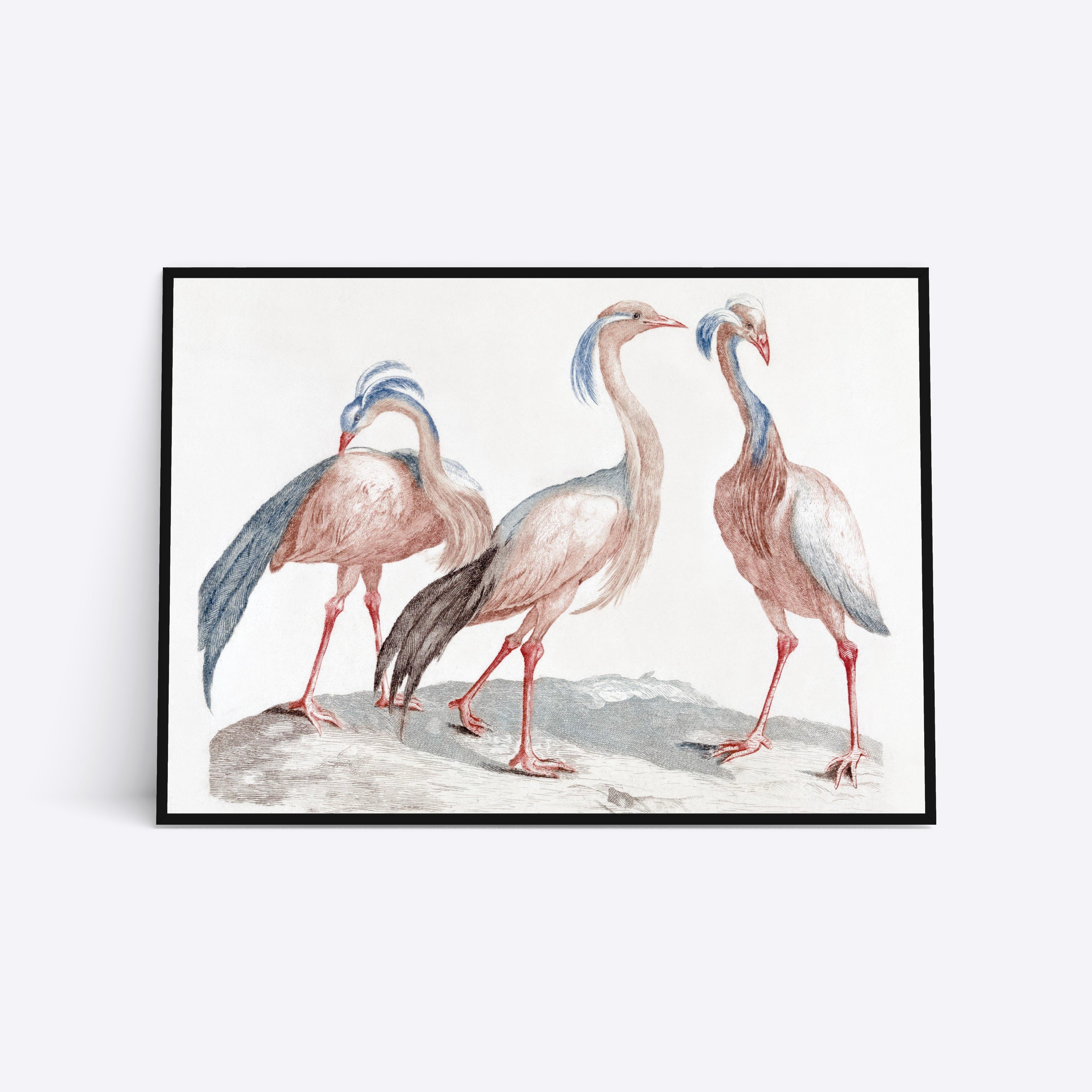 Three Birds plakat i ramme