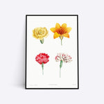 Flowers illustration plakat i ramme