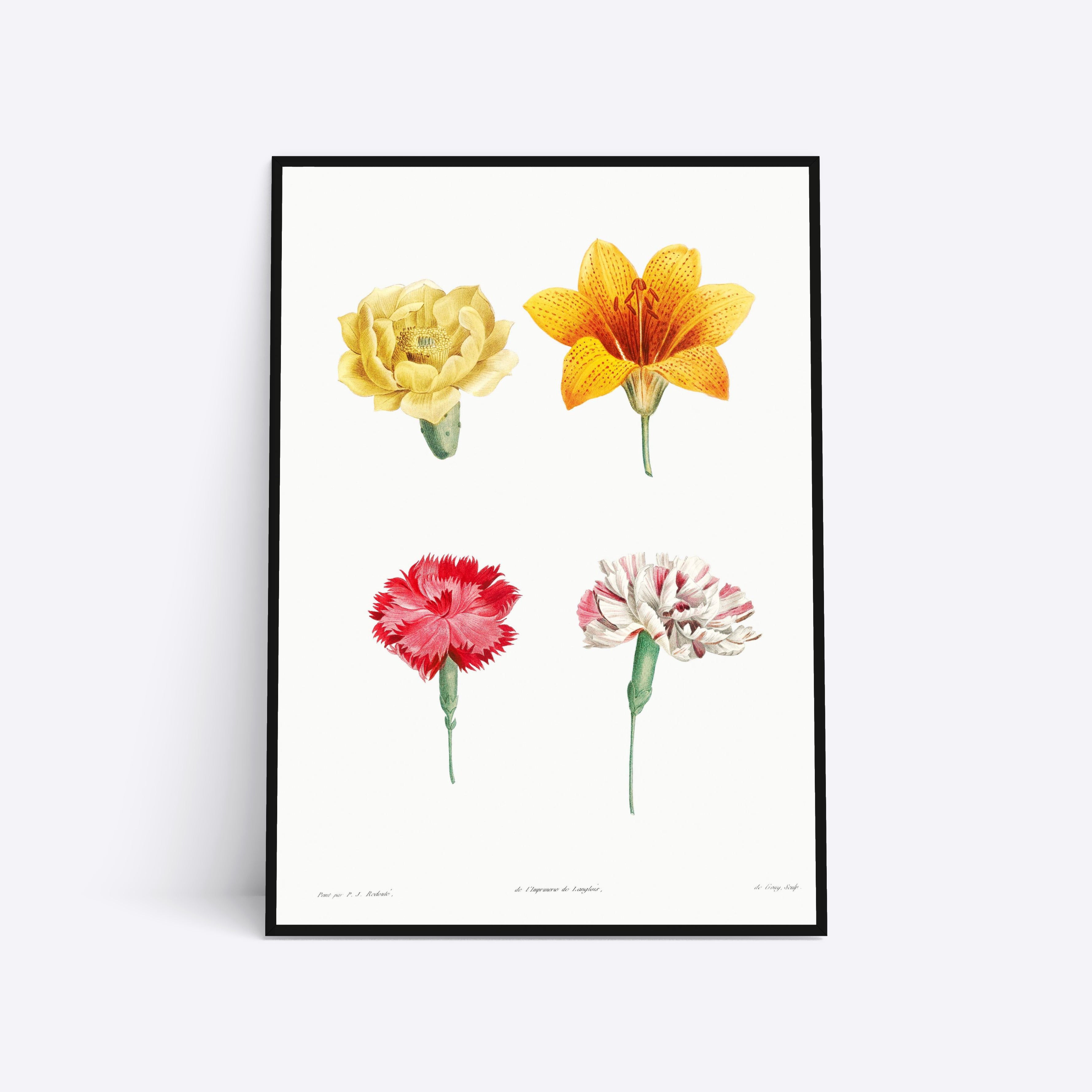 Flowers illustration plakat i ramme
