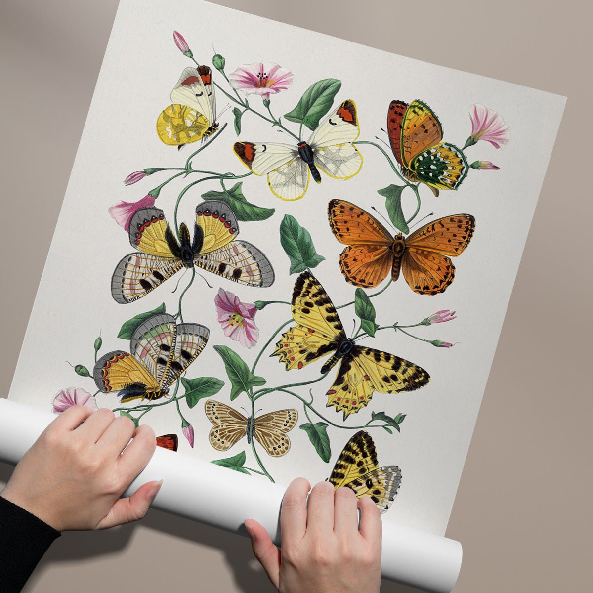 Sommerfugl Plakat – Natur, farver og æstetik i dit hjem