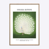 Ohara Koson Peacock