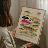 Great Barrier Reef Fishes 2