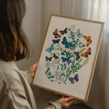 Butterflies