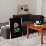 Flower Series - Rosa Indica BLACK EDITION