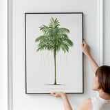 Areca Monostachya