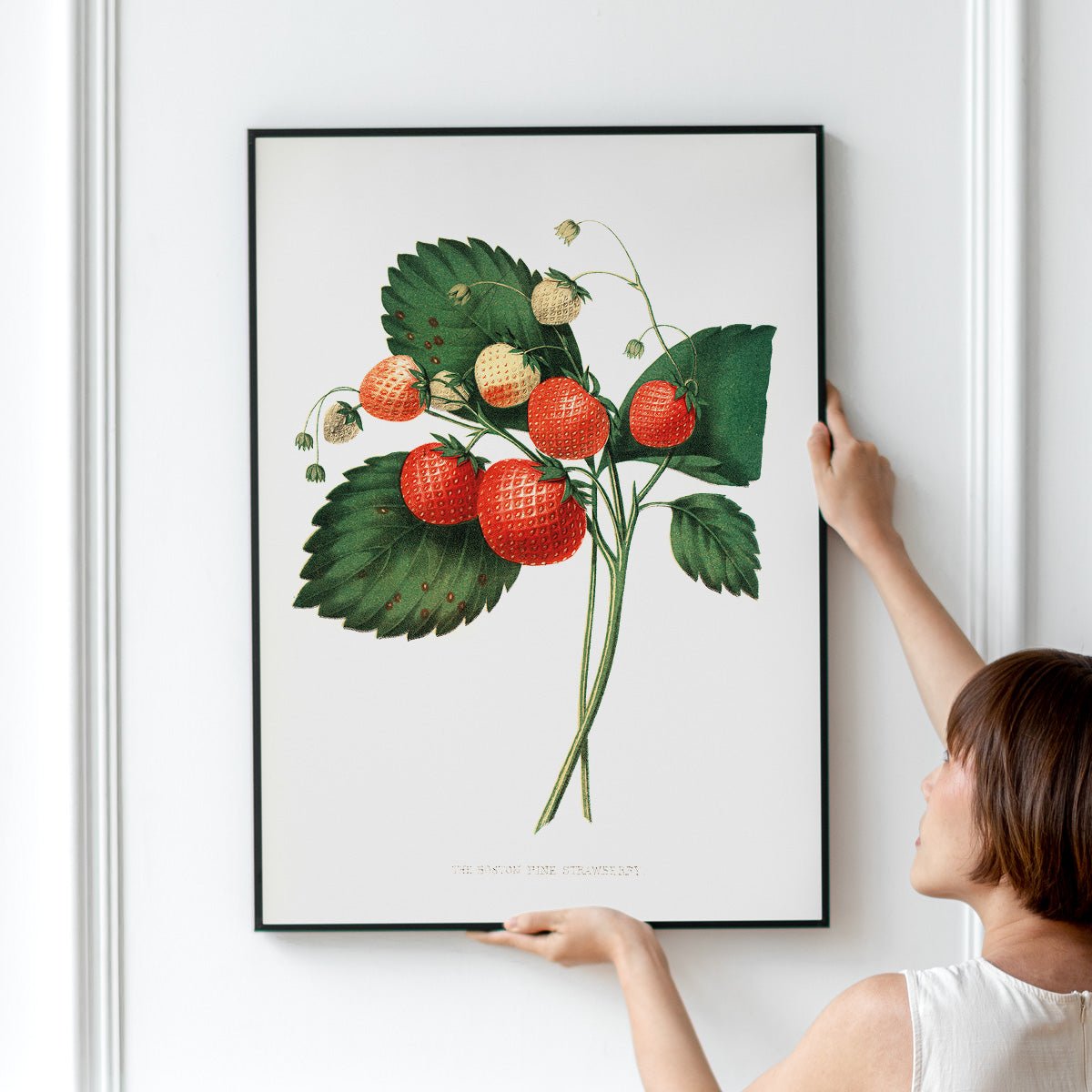 Plakat med illustration af jordbærplante, hængt op på en væg.