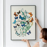 Butterflies