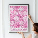 William Morris Chrysanthemum (Pink Edit)