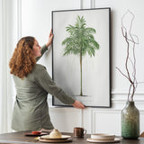 Areca Monostachya