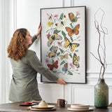 Butterflies 2