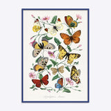 Butterflies 2