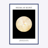 Hilma af Klint No 14 Swan