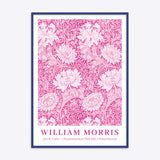 William Morris Chrysanthemum (Pink Edit)