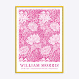 William Morris Chrysanthemum (Pink Edit)