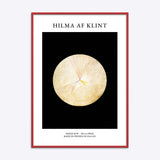 Hilma af Klint No 14 Swan