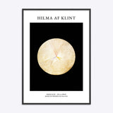 Hilma af Klint No 14 Swan