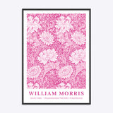William Morris Chrysanthemum (Pink Edit)