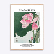 Plakat med Ohara Kosons blomstrende lotusmotiv i naturlig træramme, ideel til kunstelskere og boligindretning.
