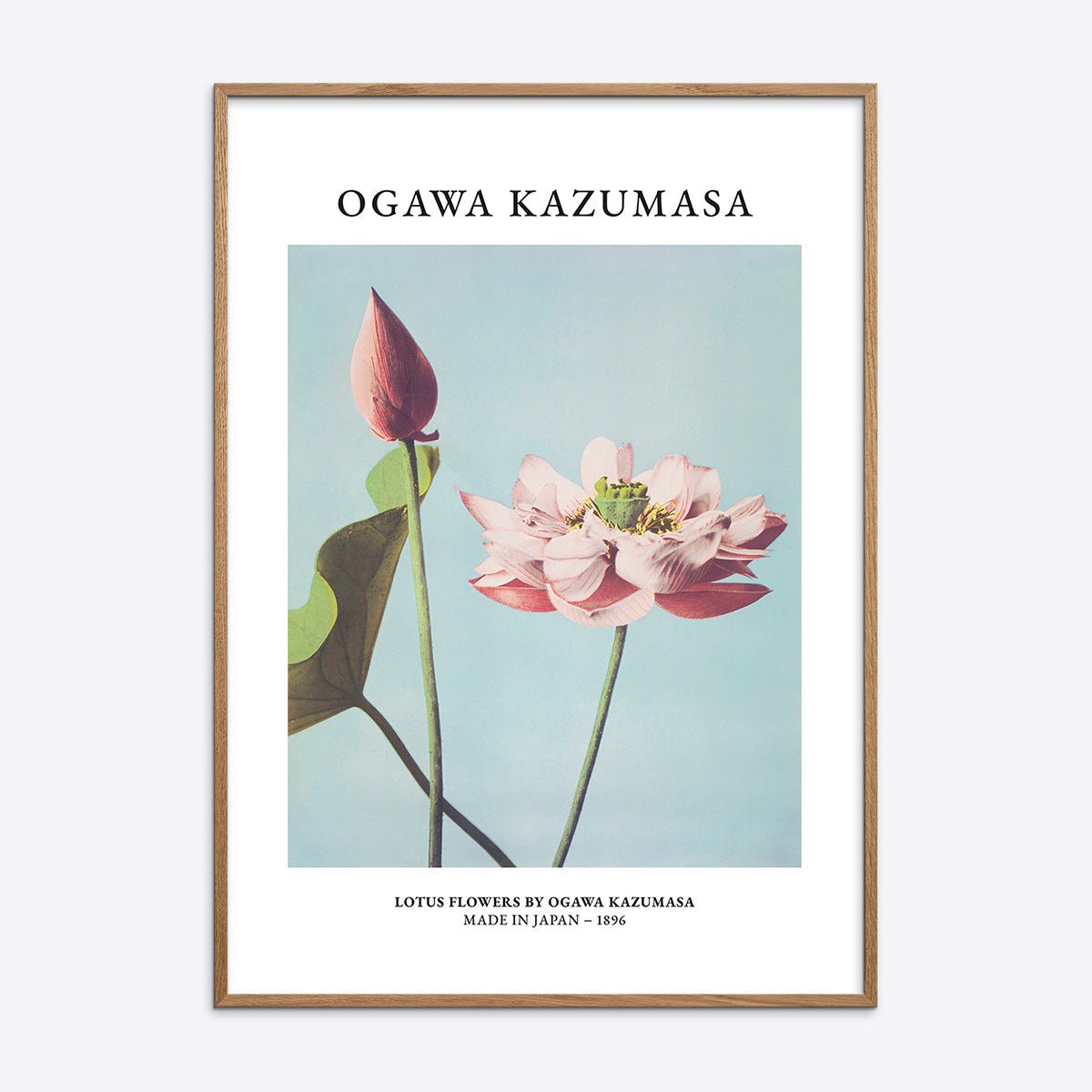 Plakat med smukt lotusblomstmotiv af Ogawa Kazumasa i naturlig træramme, perfekt til moderne indretning.