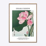 Ohara Koson Blooming Lotus