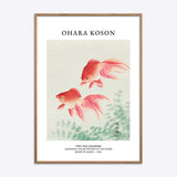 Ohara Koson Two Veil Goldfish
