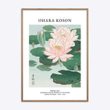 Ohara Koson Water Lily