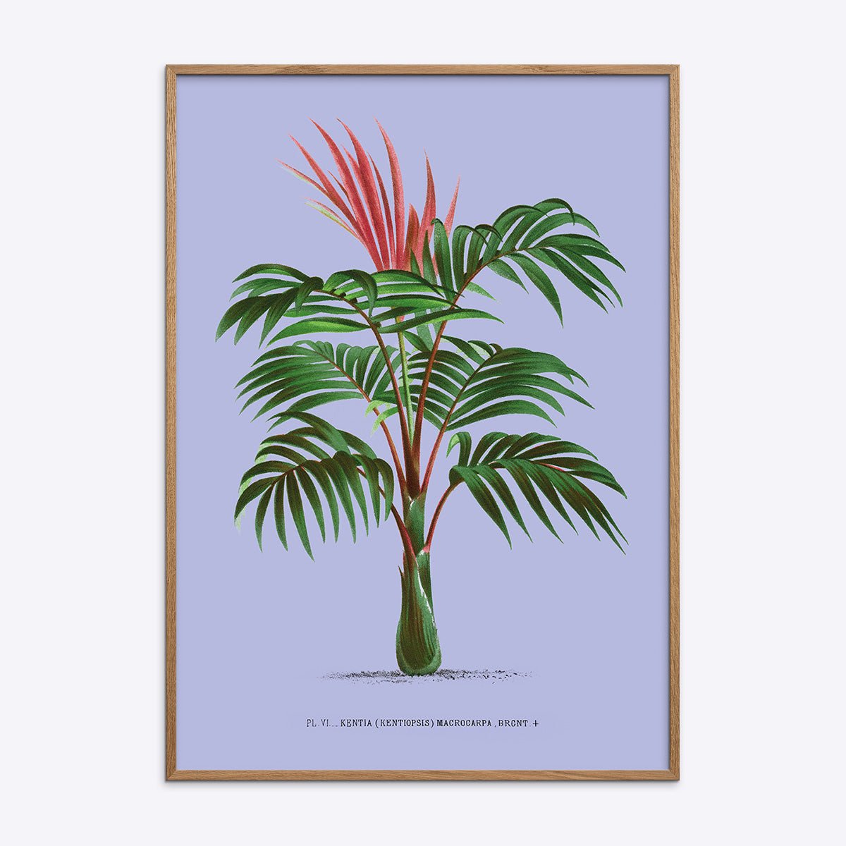 Palmetræ plakat med lilla baggrund og natur egetræsramme, Purple Edition fra Poster Society.
