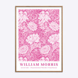 William Morris Chrysanthemum (Pink Edit)