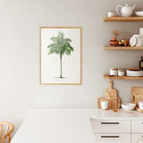 Areca Monostachya