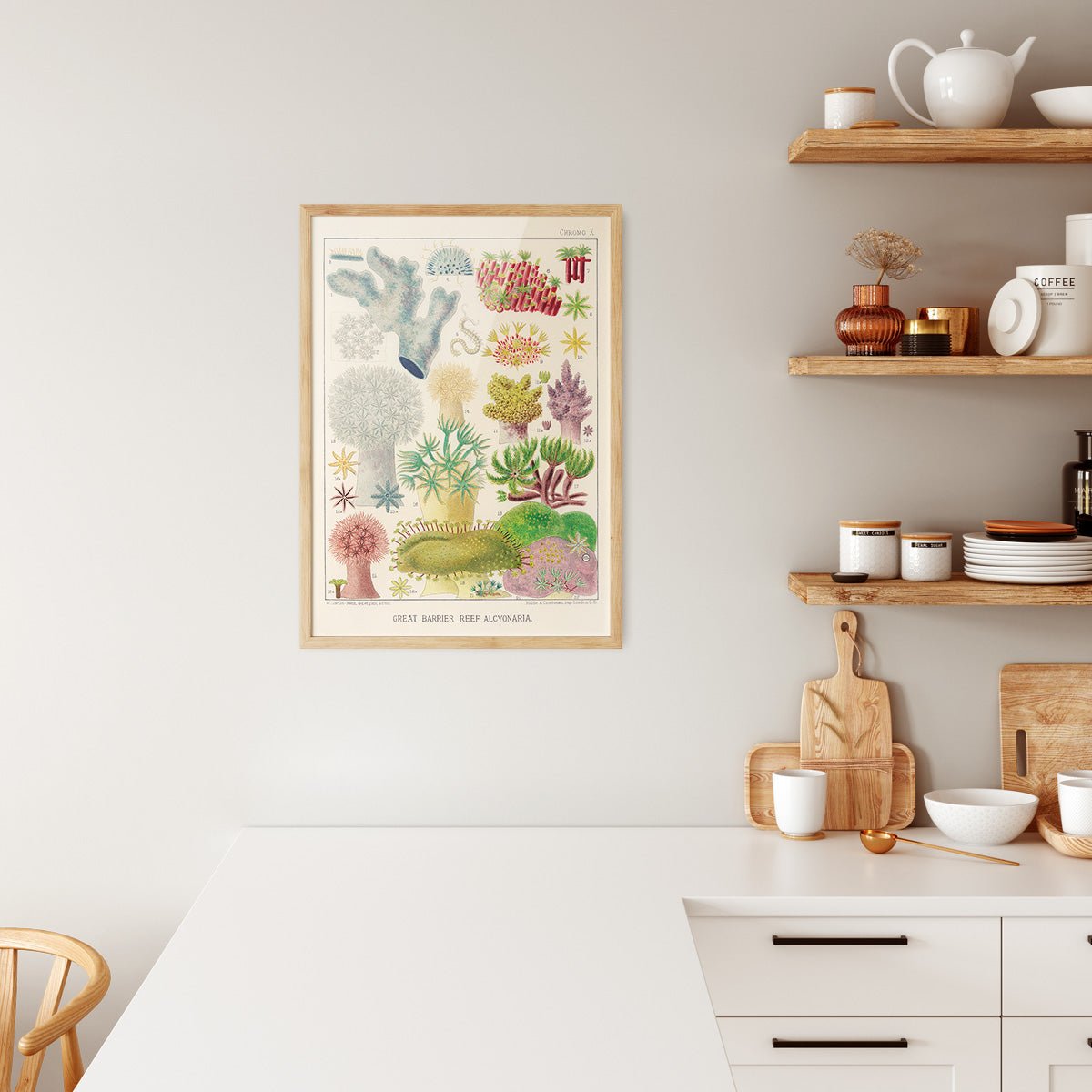 Plakat med Great Barrier Reef Alcyonaria i træramme i et køkken