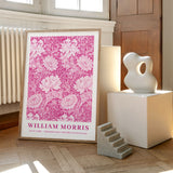 William Morris Chrysanthemum (Pink Edit)