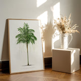 Areca Monostachya