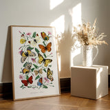 Butterflies 2
