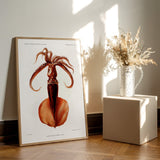 Mastigoteuthis Magna Blæksprutte