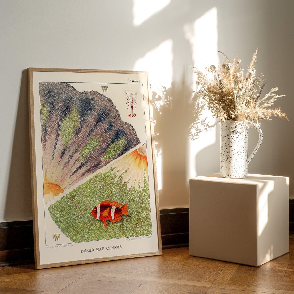 Plakat med Great Barrier Reef Anemones i træramme på trægulv