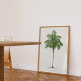 Areca Monostachya