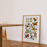 Butterflies 2