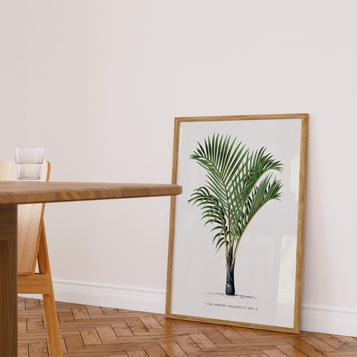 Plakat med Hyophorbe verschaffelti palme, frodig grønne blade, tropisk stemning, perfekt til stueindretning.