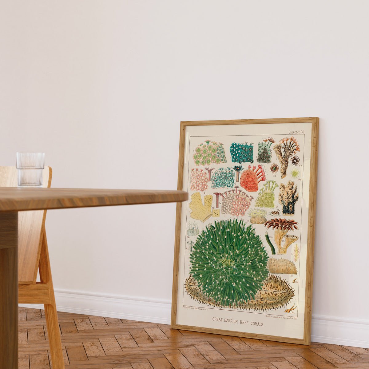 Plakat af koralrev med illustration af Great Barrier Reef Corals