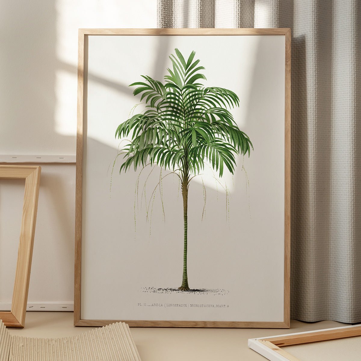 Plakat med Areca Monostachya plante på gulv, skygge fra vindue skaber et naturligt og stilfuldt udtryk.