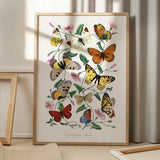 Butterflies 2