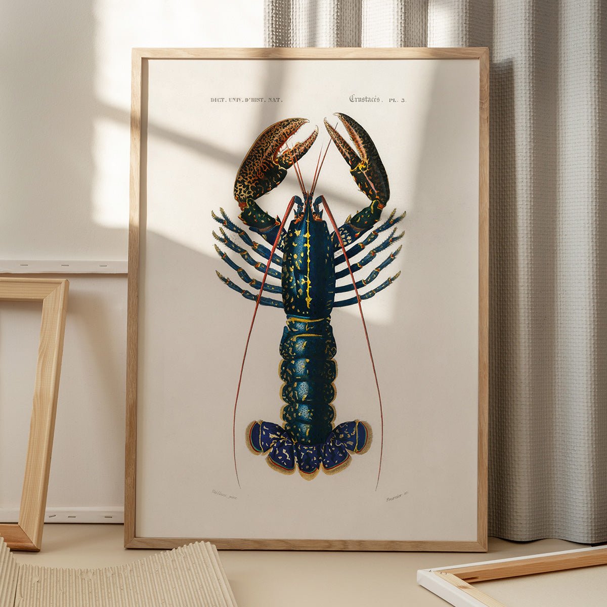 Plakat med motiv af en crimson crawfish på gulv med skygge fra vindue, ideel til moderne indretning og kunstelskere
