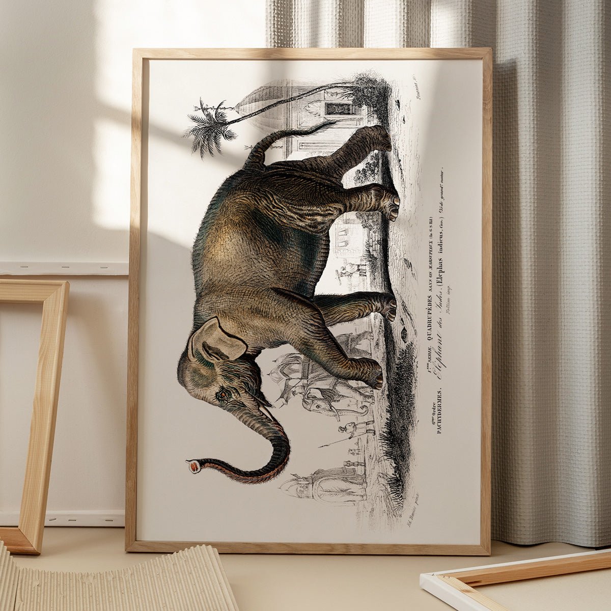 Plakat med elefantillustration i træramme på gulv med vinduesskygge