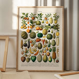 Fruits