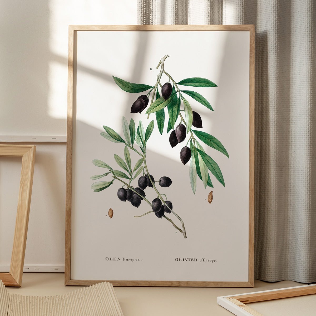 Olive Branch plakat i egetræsramme på gulvet med botanisk motiv af sorte oliven og blade.