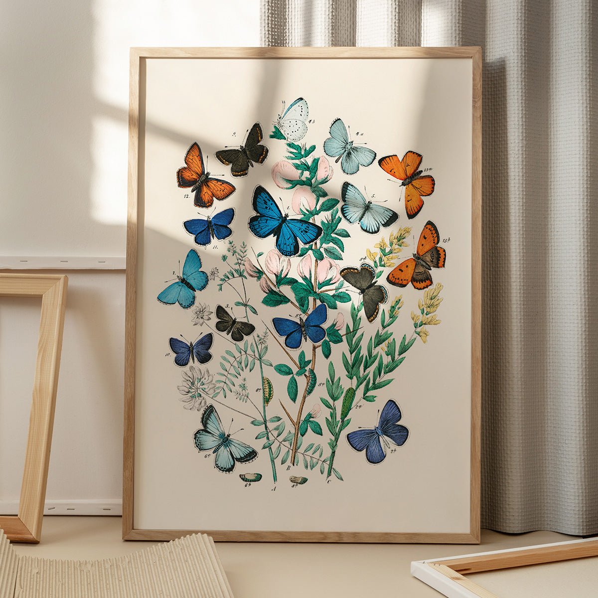 Plakat med illustration af sommerfugle i træramme på gulv med vinduesskygge