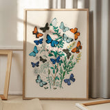 Butterflies